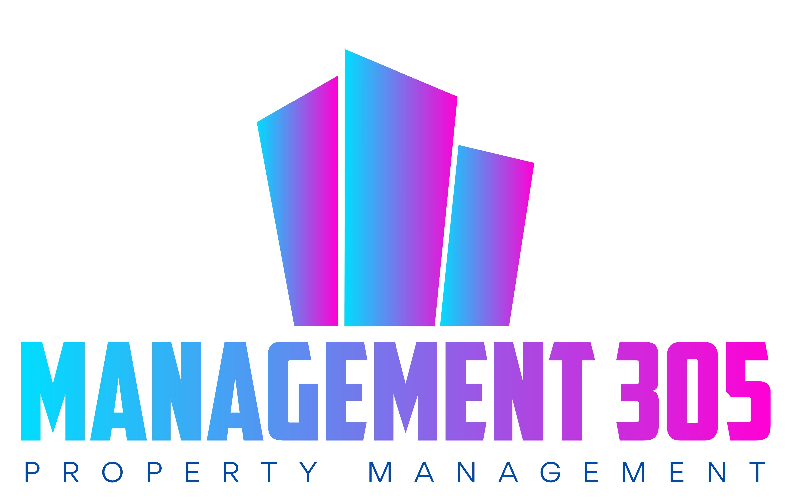 Management 305 logo